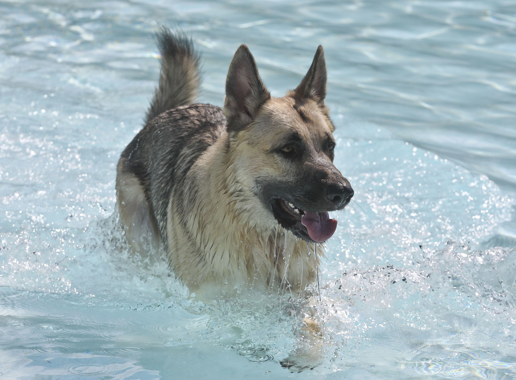 Pool Party 10 09.07.19.JPG